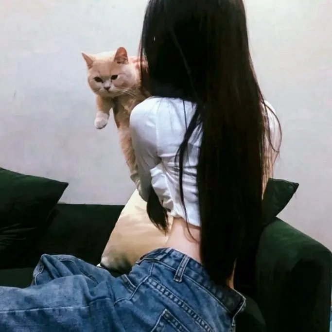 狂赌之渊第二季